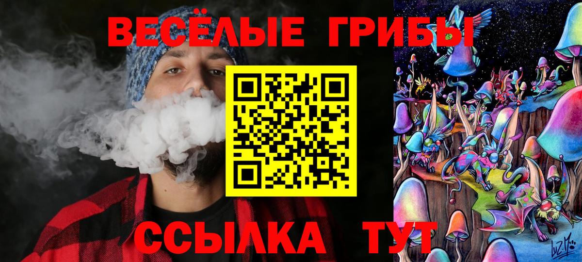 Псилоцибиновые грибы Psilocybine cubensis  Вход с VPN  Лосино-Петровский 